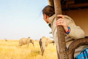 woman on safari game drive