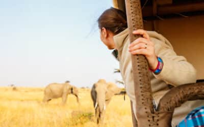 Safari en famille en Tanzanie : quels sont les indispensables à ne pas oublier ?